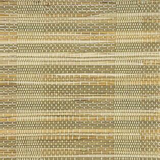 NA1903 Tree Bark(1).jpg