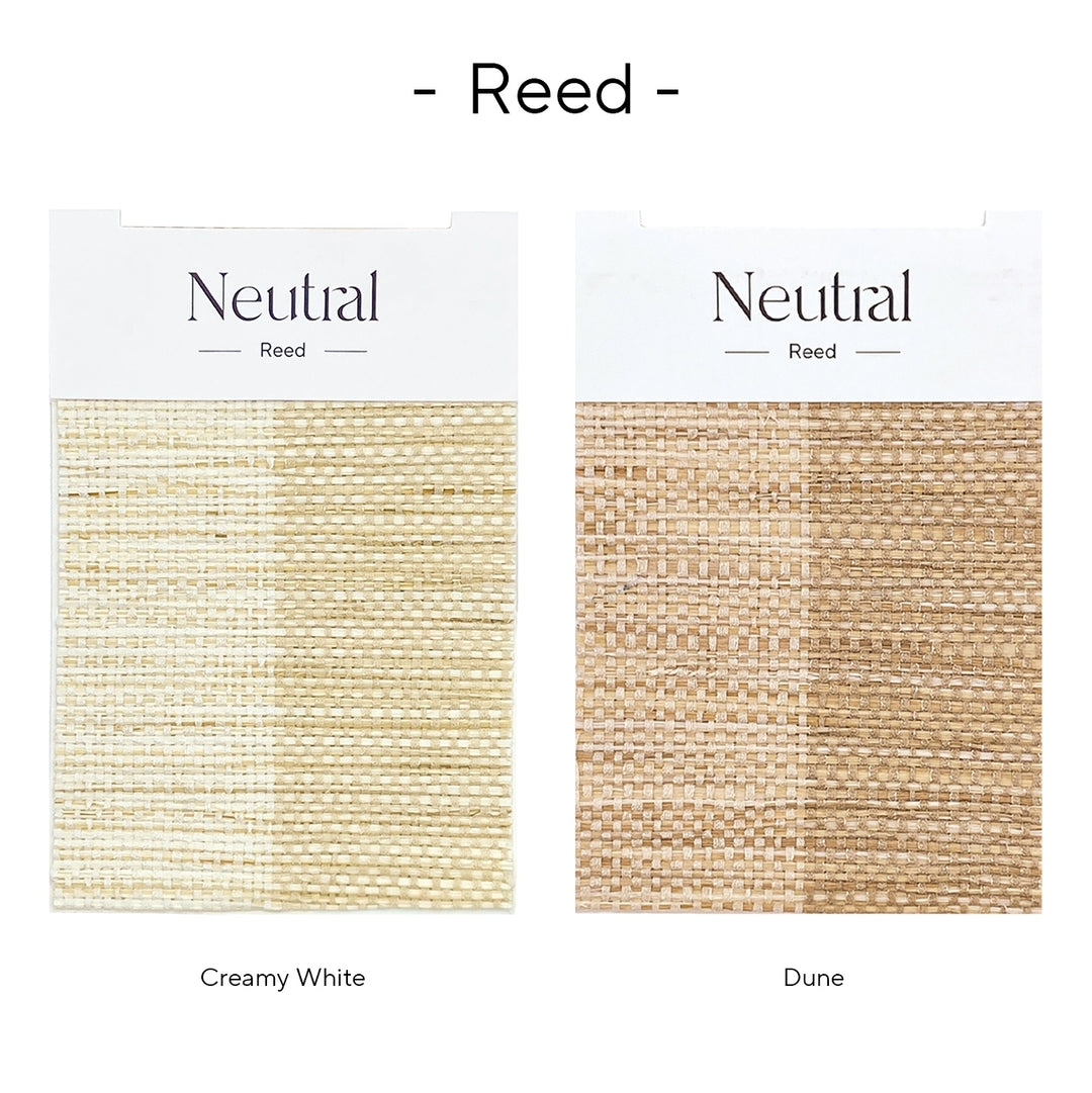 Reed Bamboo Book