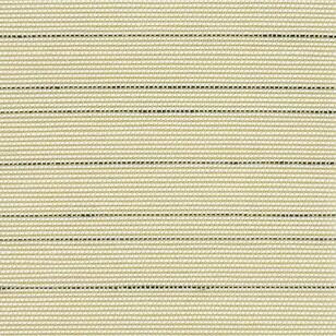 NA0801 Birch Forest(1).jpg