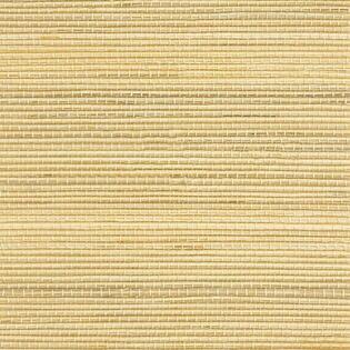 NA0201 Cheese(1).jpg