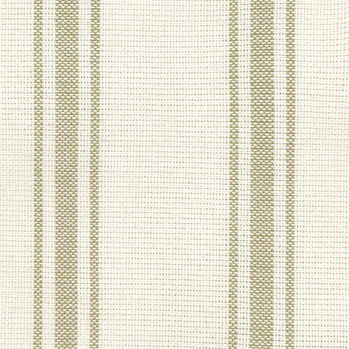 Fresh Sage Y926-3.jpg