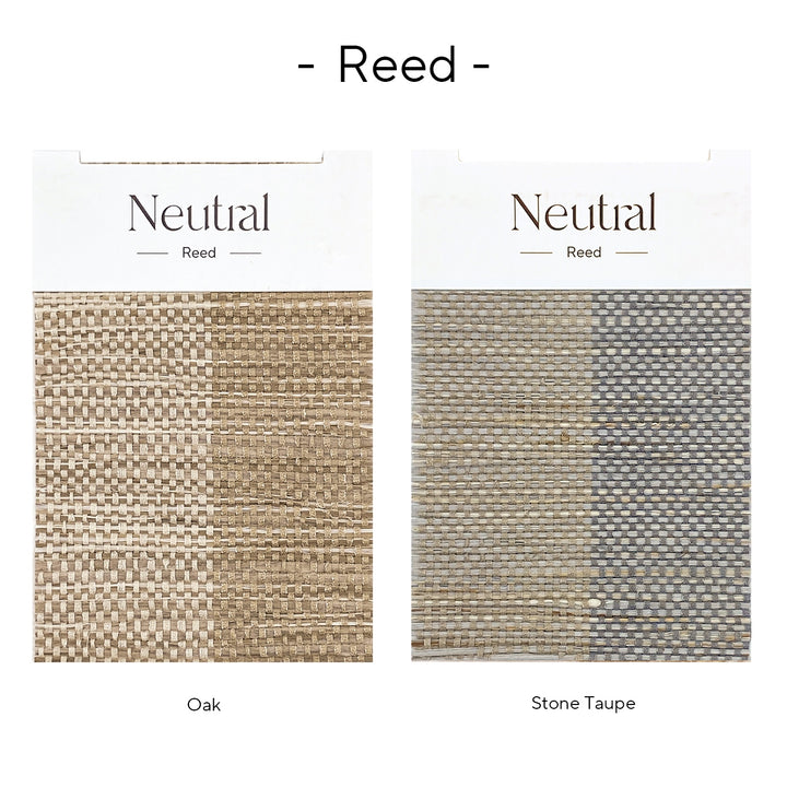 Reed Bamboo Book