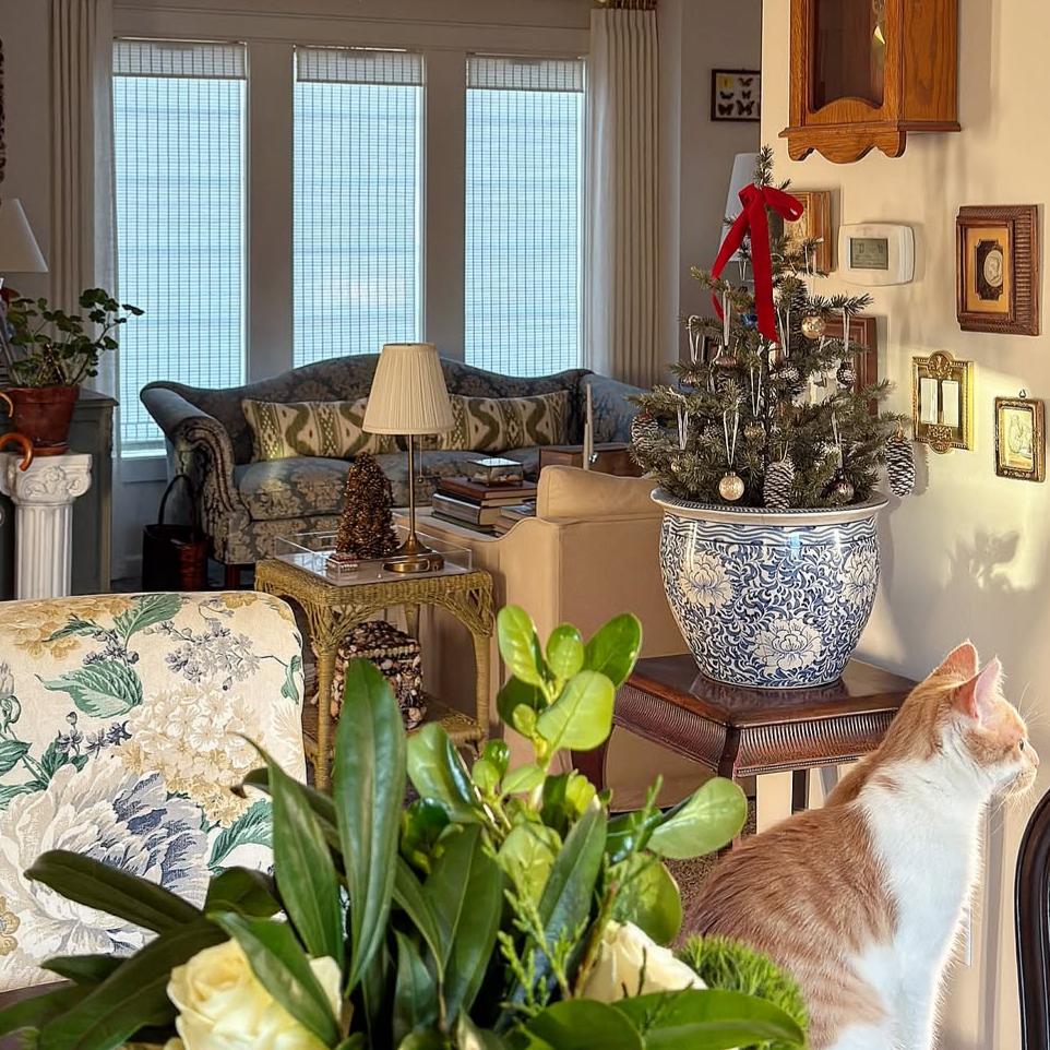 Ivy Woven Bamboo Blinds & Shades | Off White