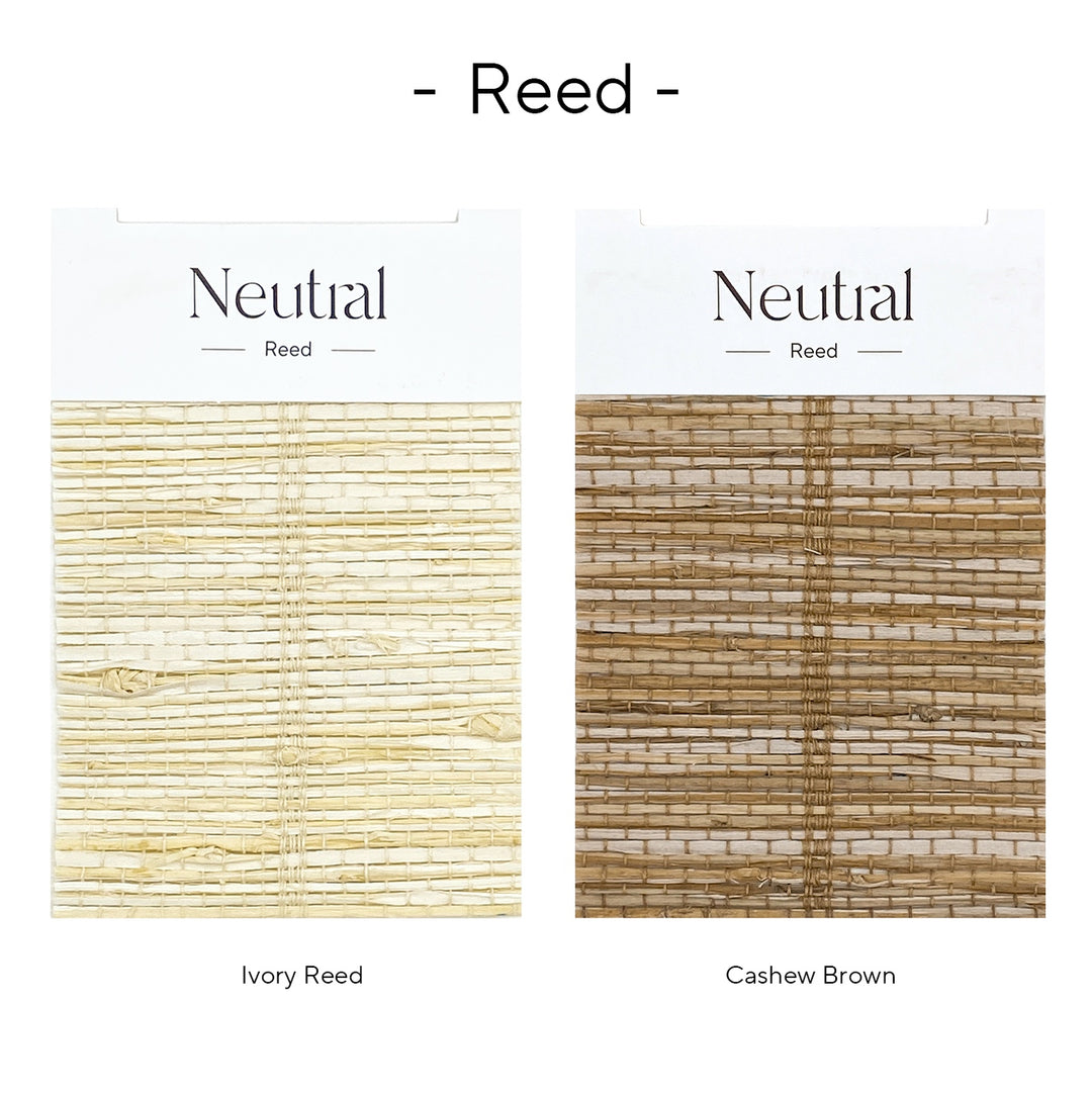 Reed Bamboo Book
