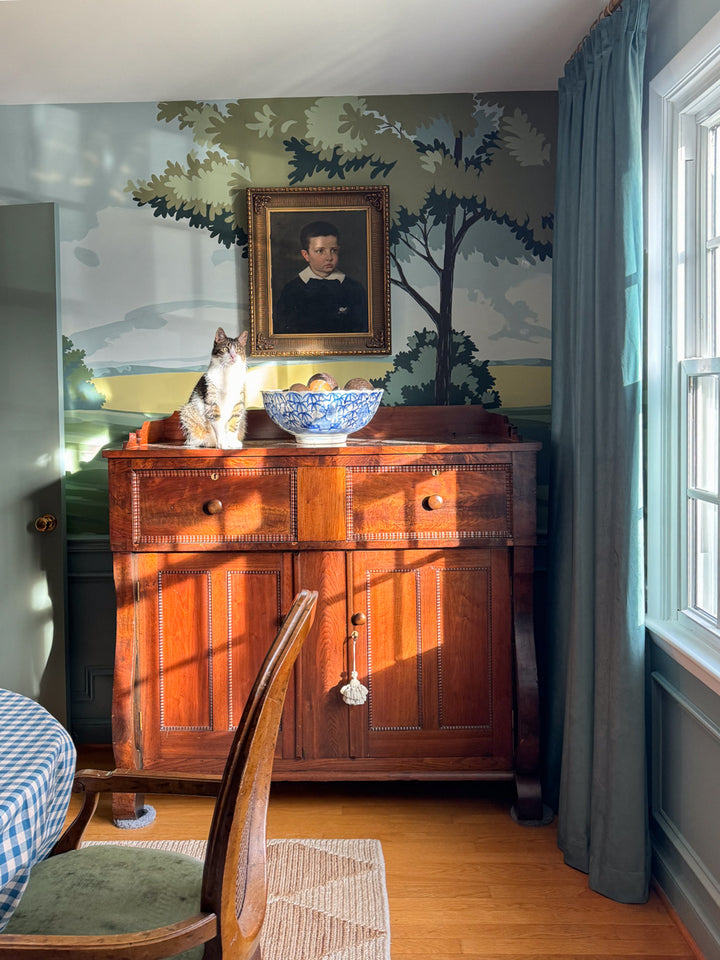 Maillard Velvet Curtains & Drapes Pleated