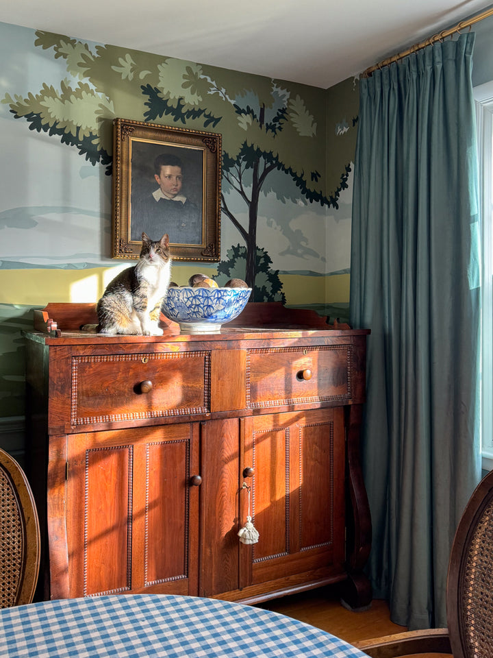 Maillard Velvet Curtains & Drapes Pleated