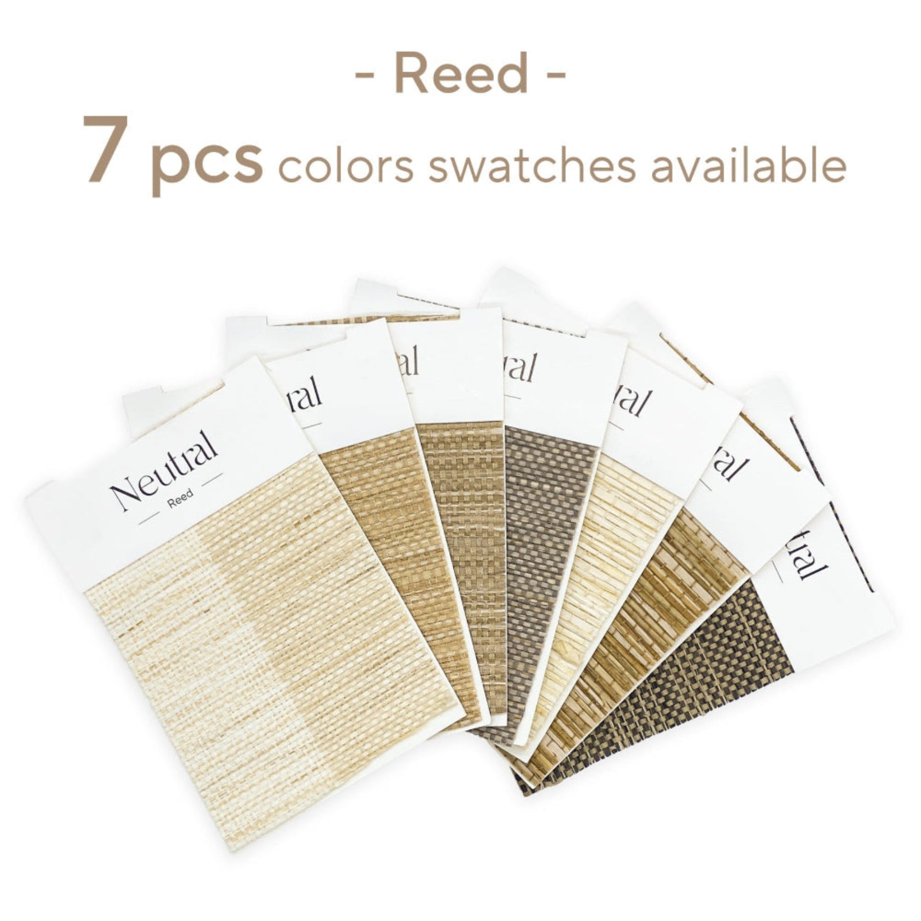 Reed Bamboo Book