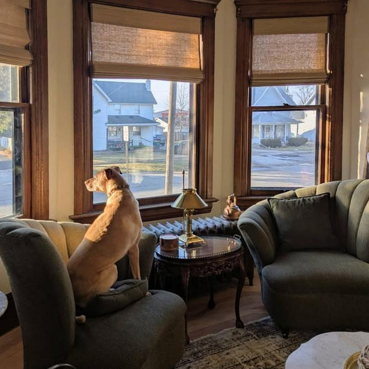 Ramie Woven Bamboo Blinds & Shades | Coconut