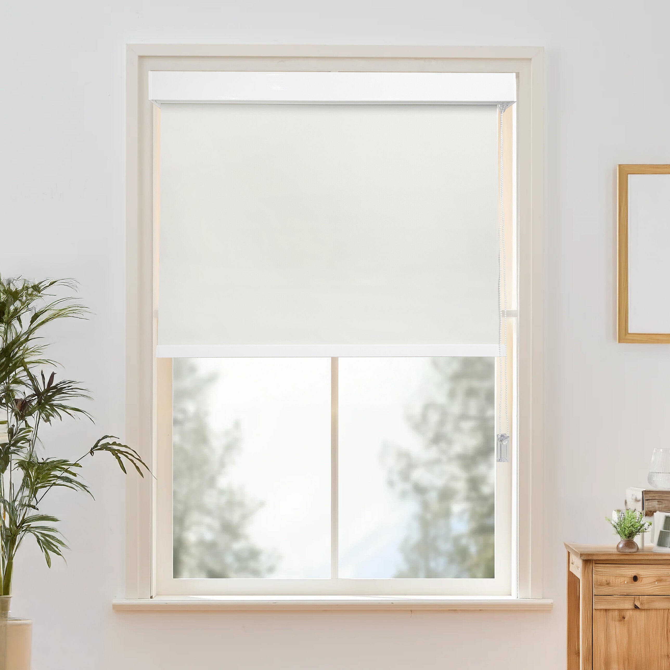 Tavi Roller Shades