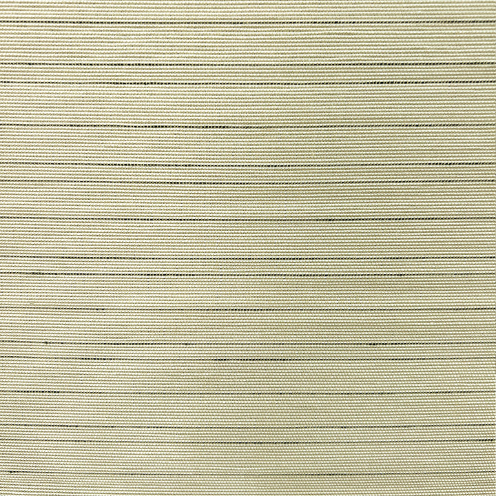Nomi No-Drill Woven Bamboo Blinds & Shades | Birch Forest