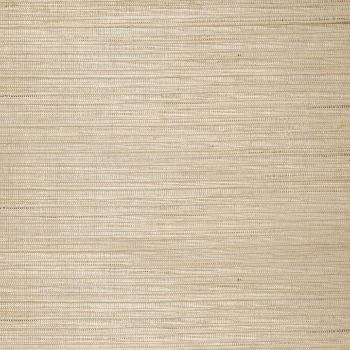 Willow Bamboo Blinds & Shades Top Down Bottom Up |Buff