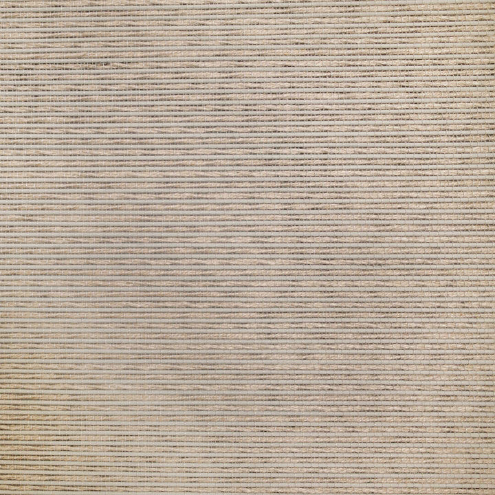 Willow Bamboo Blinds & Shades Top Down Bottom Up | Gray Green