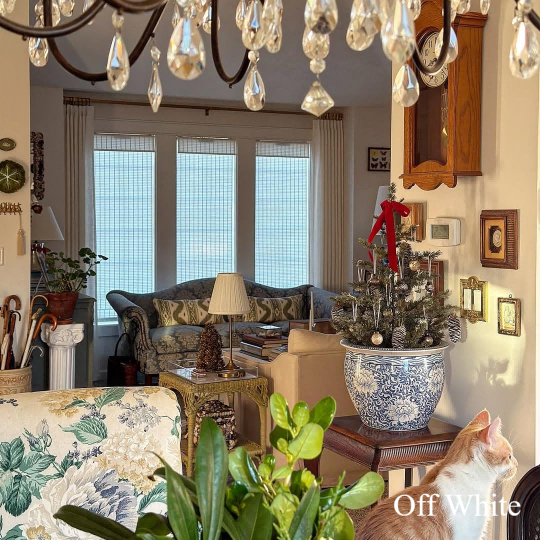 Ivy Woven Bamboo Blinds & Shades | Off White