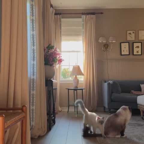 Kelly Linen Curtains & Drapes Pleated