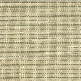 NA1323 Avocado(1).jpg